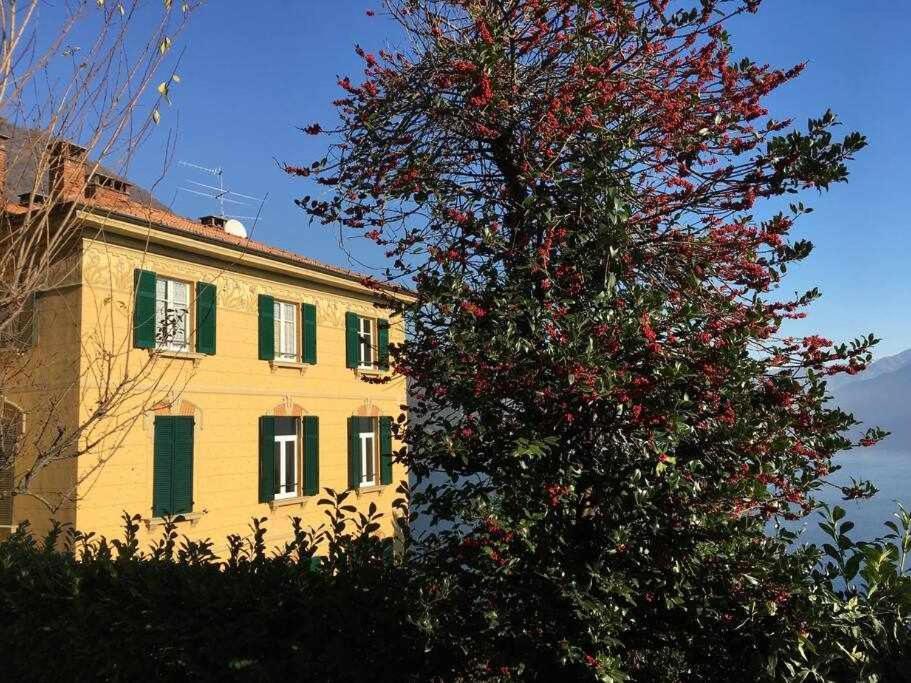 Villa Peroni Lake Como Classic With Swimming Pool Argegno Exteriér fotografie